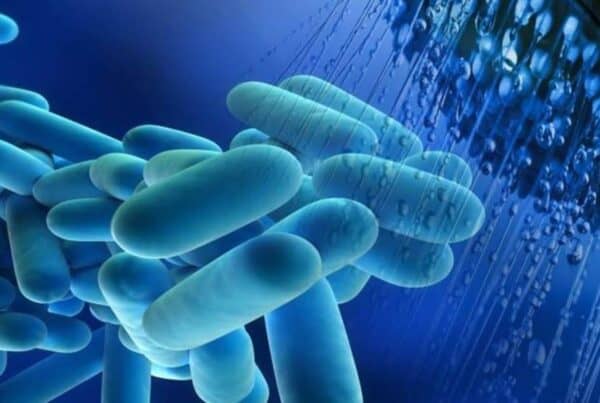 Legionella duty holder & responsible persons course